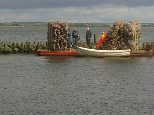 2015 Faskiner Kanalø